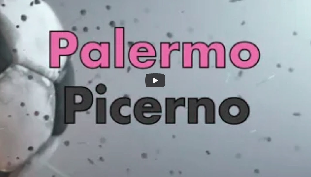 Highlights Palermo vs Picerno /35th match Lega Pro