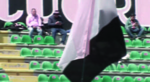 Palermo vs Picerno 35th match Lega Pro 2021/22