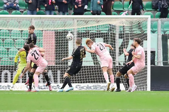 Serie B, Palermo-Entella 3-0: Barbera is a fortress, seventh victory...