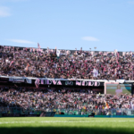 Palermo, continuity sought: Barbera needs another step forward