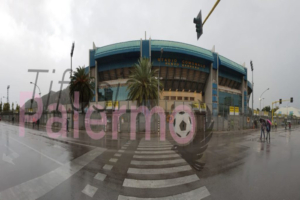 A statue should be made of the fans present today