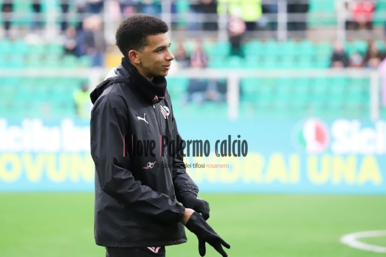 Palermo-Südtirol, favorable weather for Barbera: mild climate and no...