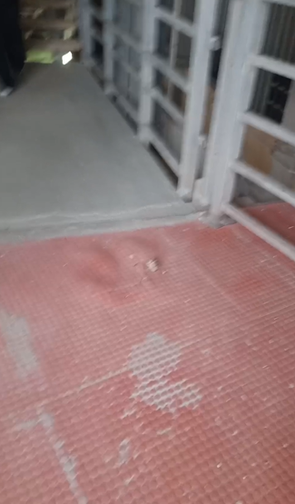 Renzo Barbera, rubble reported falling in the Curva Sud: fans protest