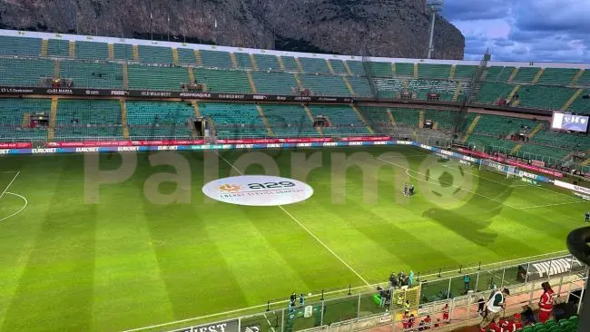 Palermo-Empoli, the Barbera is full: the data on spectators
