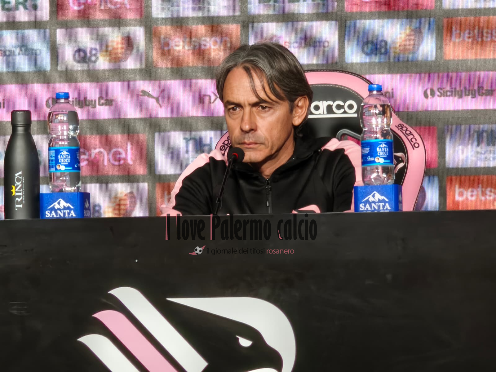 Inzaghi presents Palermo-Entella: «Palumbo can play anywhere. Venice?...