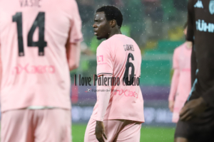 Sampdoria-Palermo, the probable lineups: Brunori against the past,...