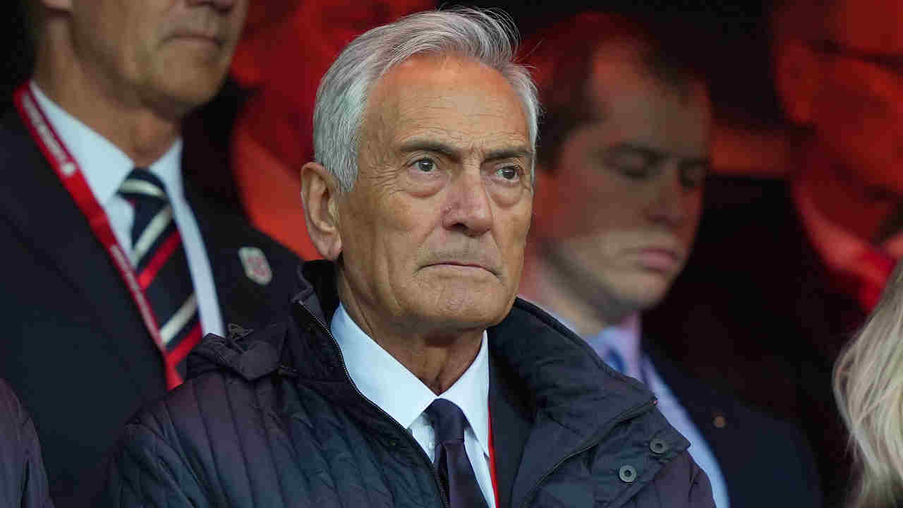 Tonight Bosnia-Italy. Gravina: «United we will make it»