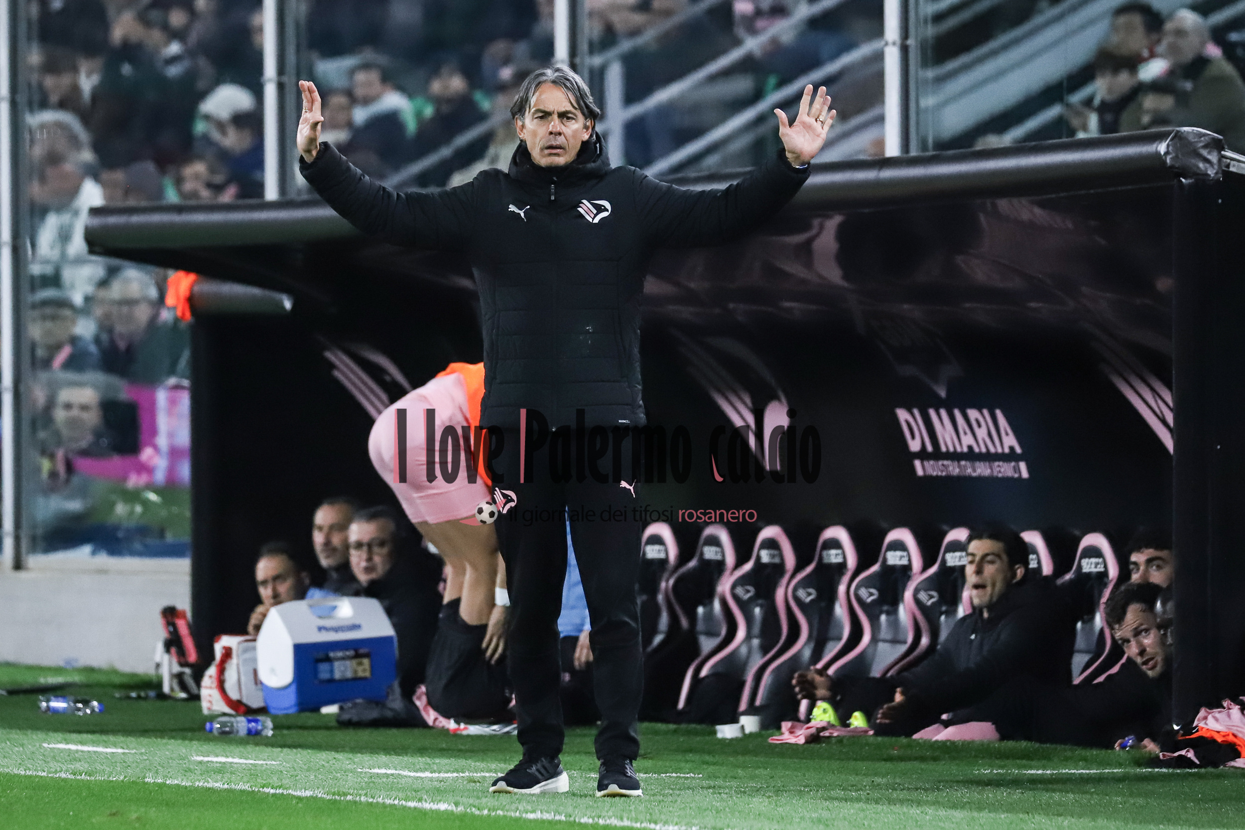 Giornale di Sicilia: "Palermo, Inzaghi studies alternatives....