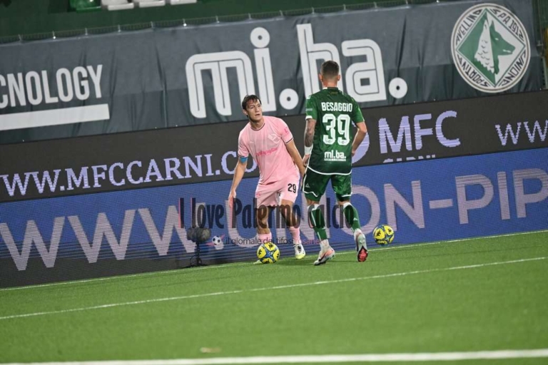 Palermo-Avellino, bookmakers convinced: rosanero ahead