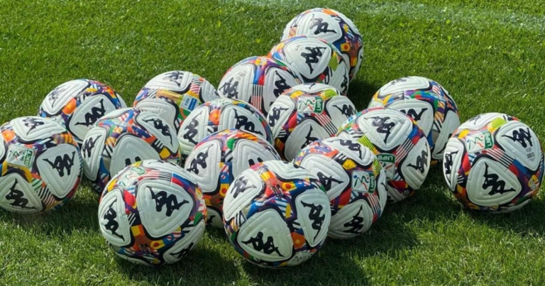 Serie B sports judge, Faedo from Padova disqualified. Skip Palermo