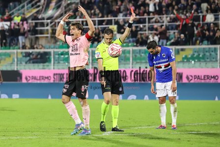 Giornale di Sicilia: "Monza-Palermo entrusted to Doveri. The...
