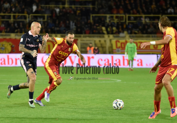 Palermo-Catanzaro, odds and predictions: rosanero favourites