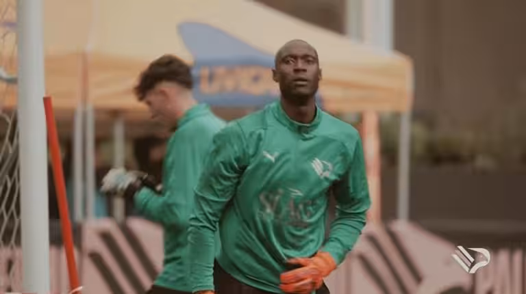 Palermo, 150 appearances in Serie B for Gomis: starter after a year...