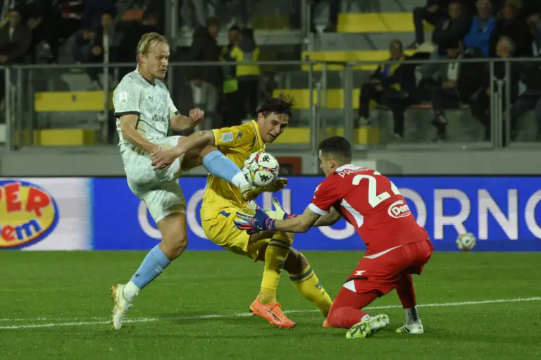 Frosinone-Palermo 1-1, emotions until the end: relive the highlights...