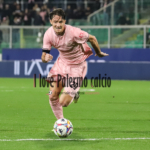 Serie B, sting and suspensions: stop for Schingtienne and Peda, fines...