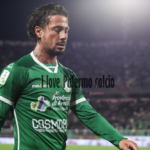 Palermo-Avellino 2-0, Izzo apologizes: «I take responsibility for the...