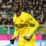 Frosinone-Palermo, the official lineups: the choices of Alvini and...