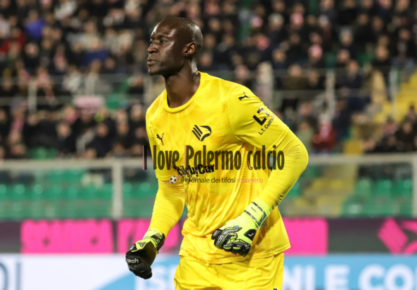 Frosinone-Palermo, the official lineups: the choices of Alvini and...