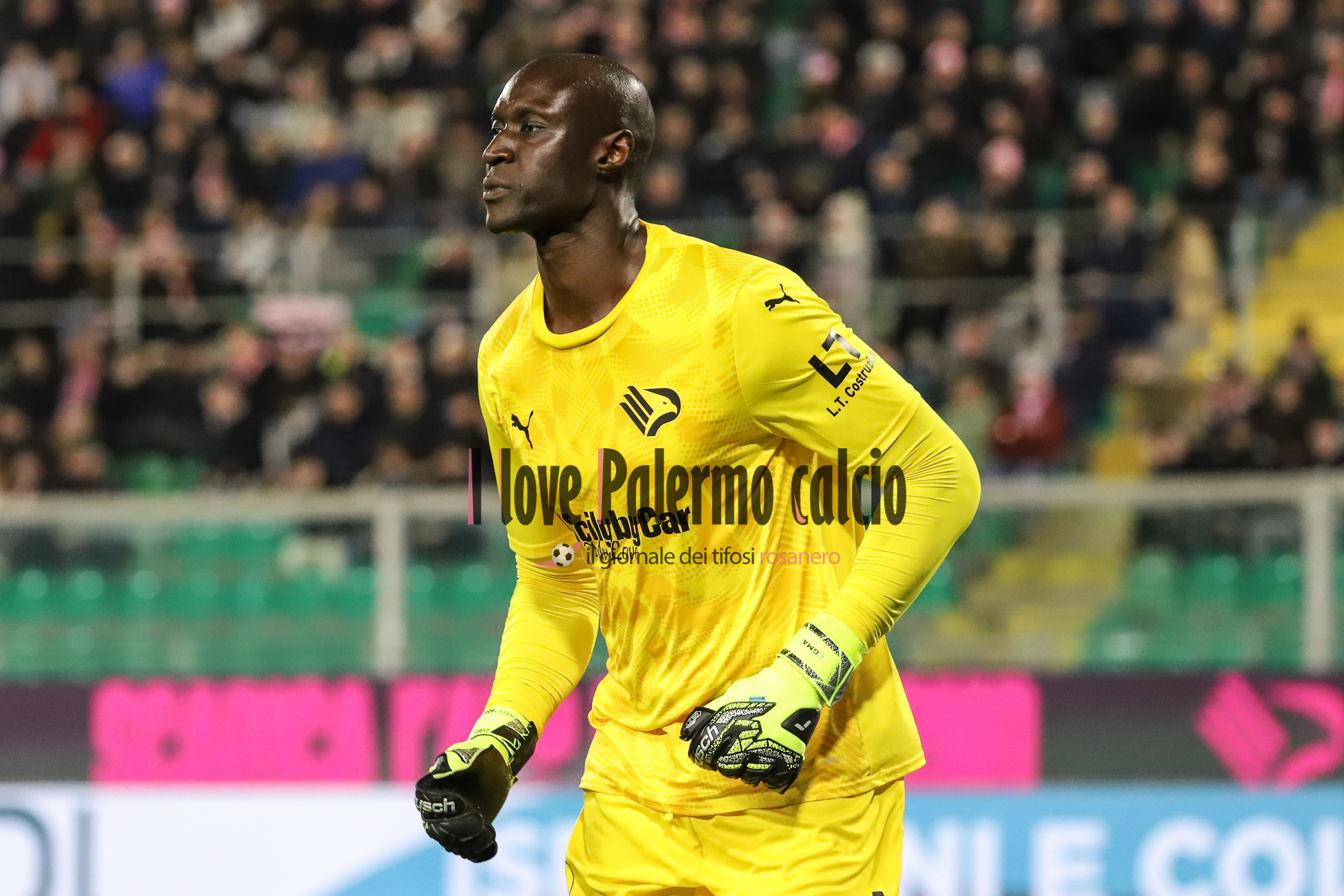 Frosinone-Palermo, the official lineups: the choices of Alvini and...