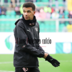 Repubblica: "Palumbo joker and Rui Modesto. The tactical turning...