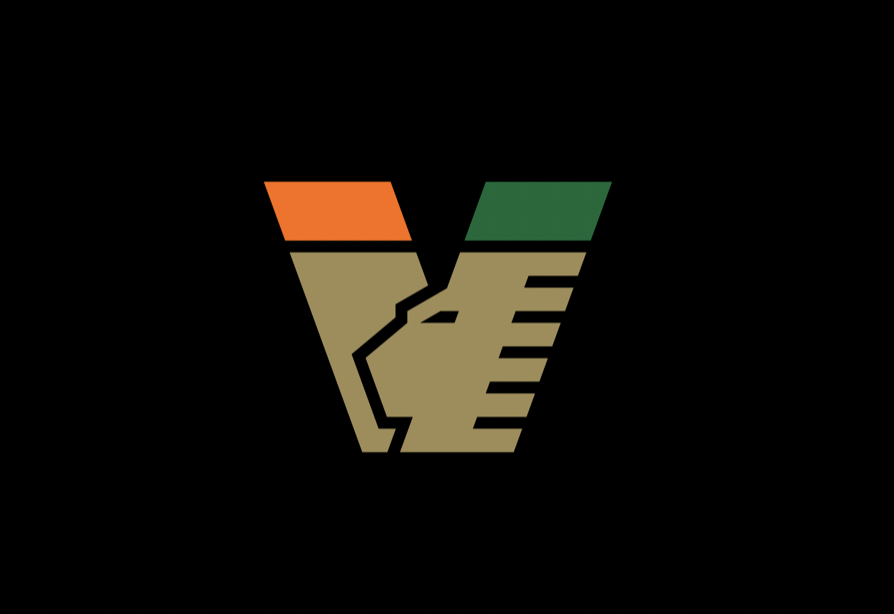 New Venice stadium, the lagoon club: "Our proposal was deemed...