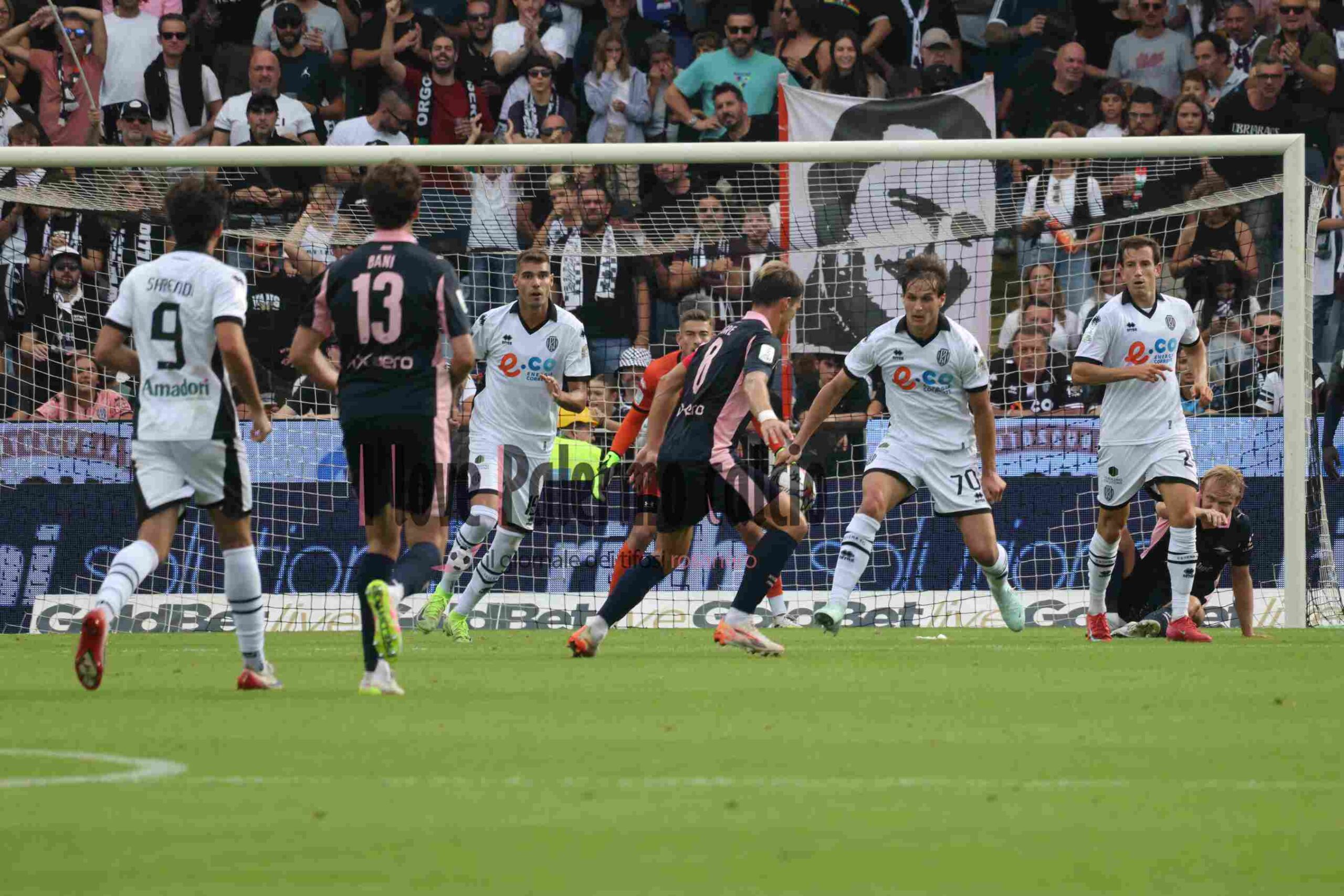 Palermo-Cesena, odds and predictions: rosanero favorites at Barbera