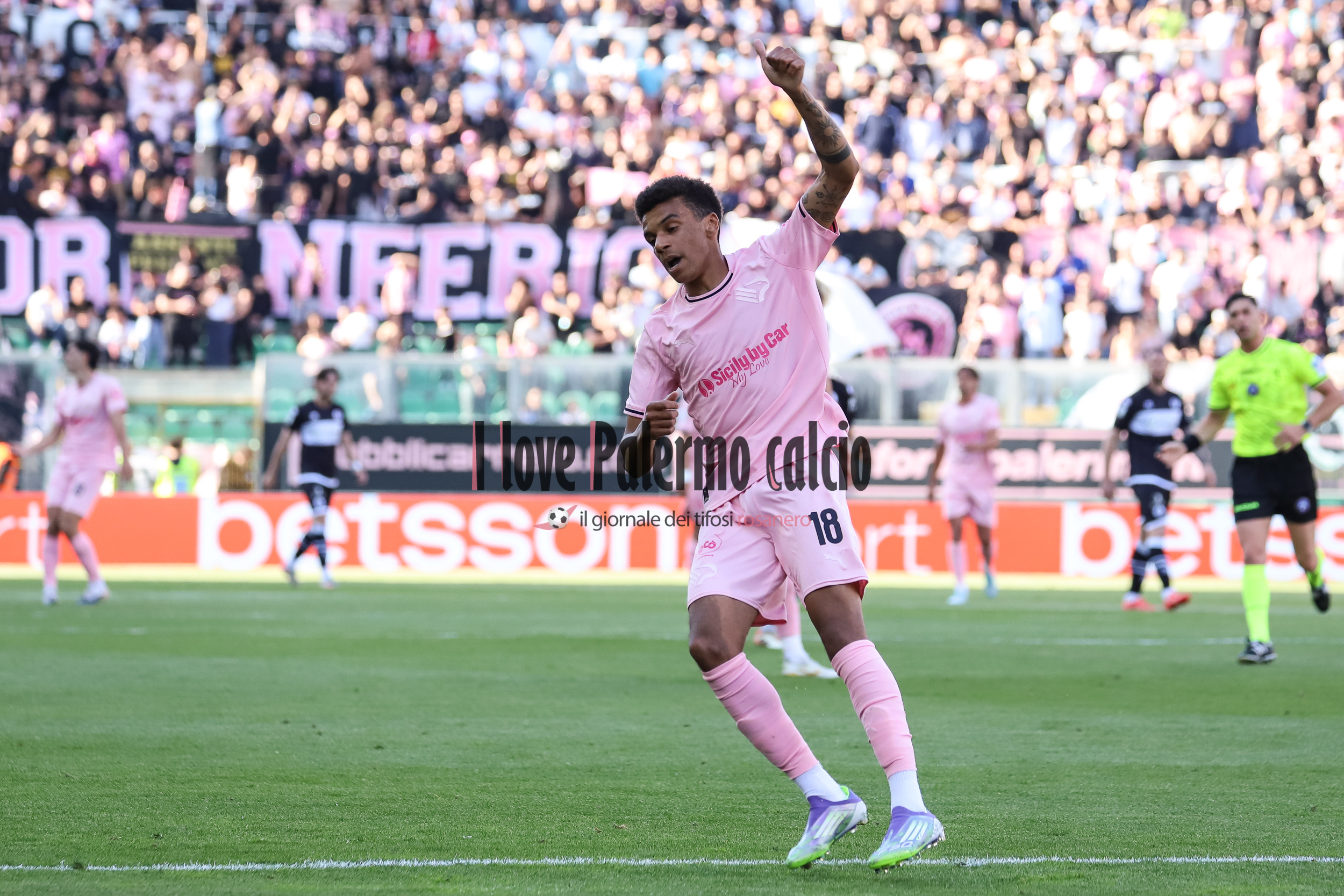 Giornale di Sicilia: "A poker of assault wings. It's a Palermo at...