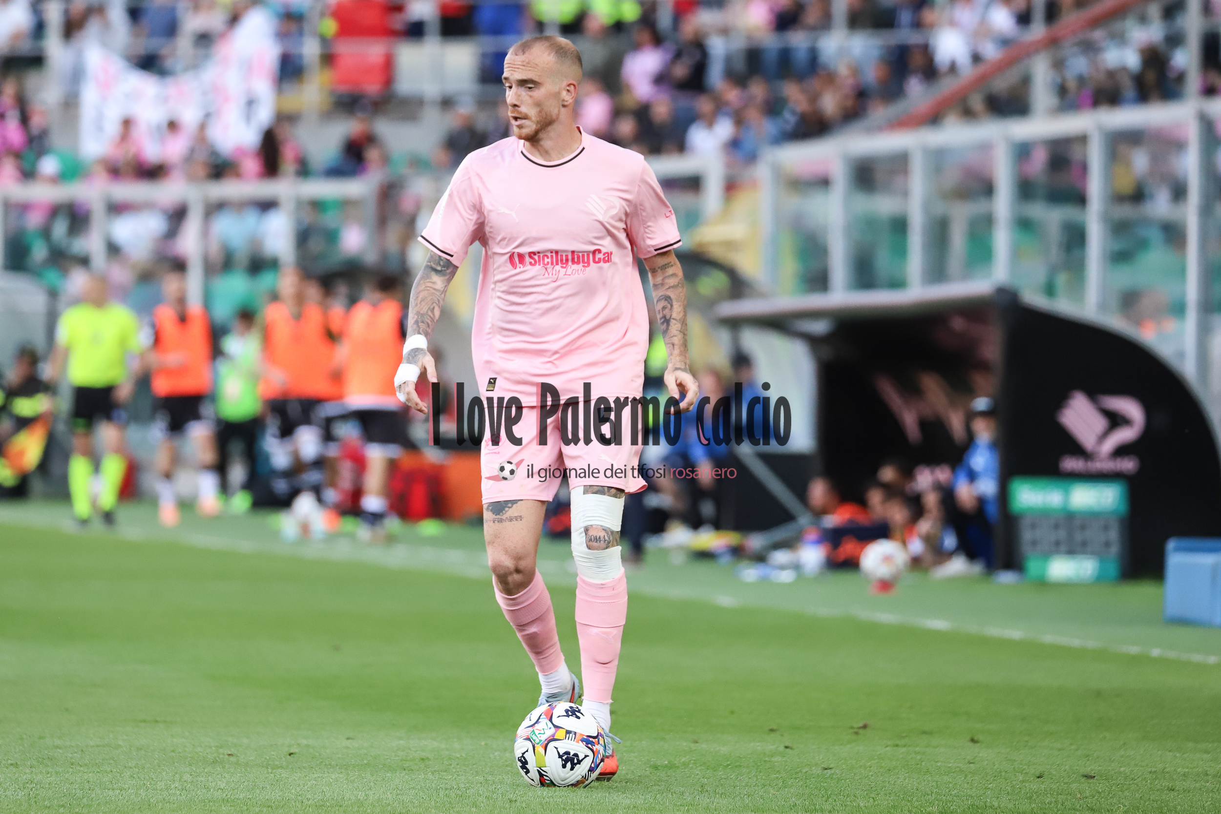 Palermo, Palumbo: «Let's just think about winning them all, then...