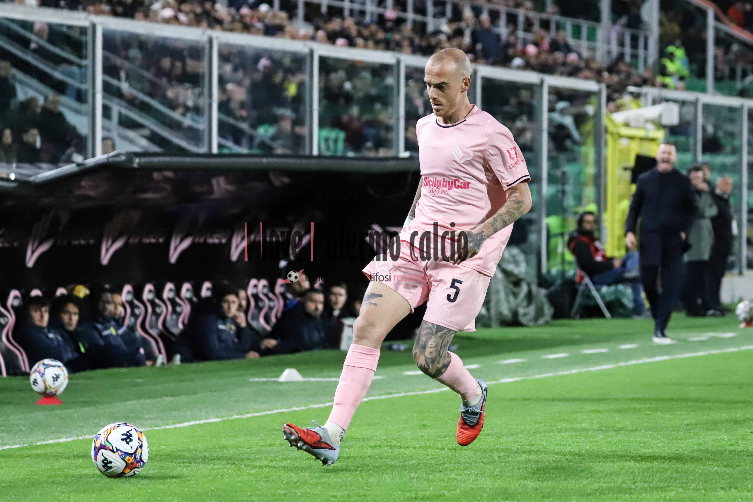 Giornale di Sicilia: “Catanzaro-Palermo, the probable lineups:...