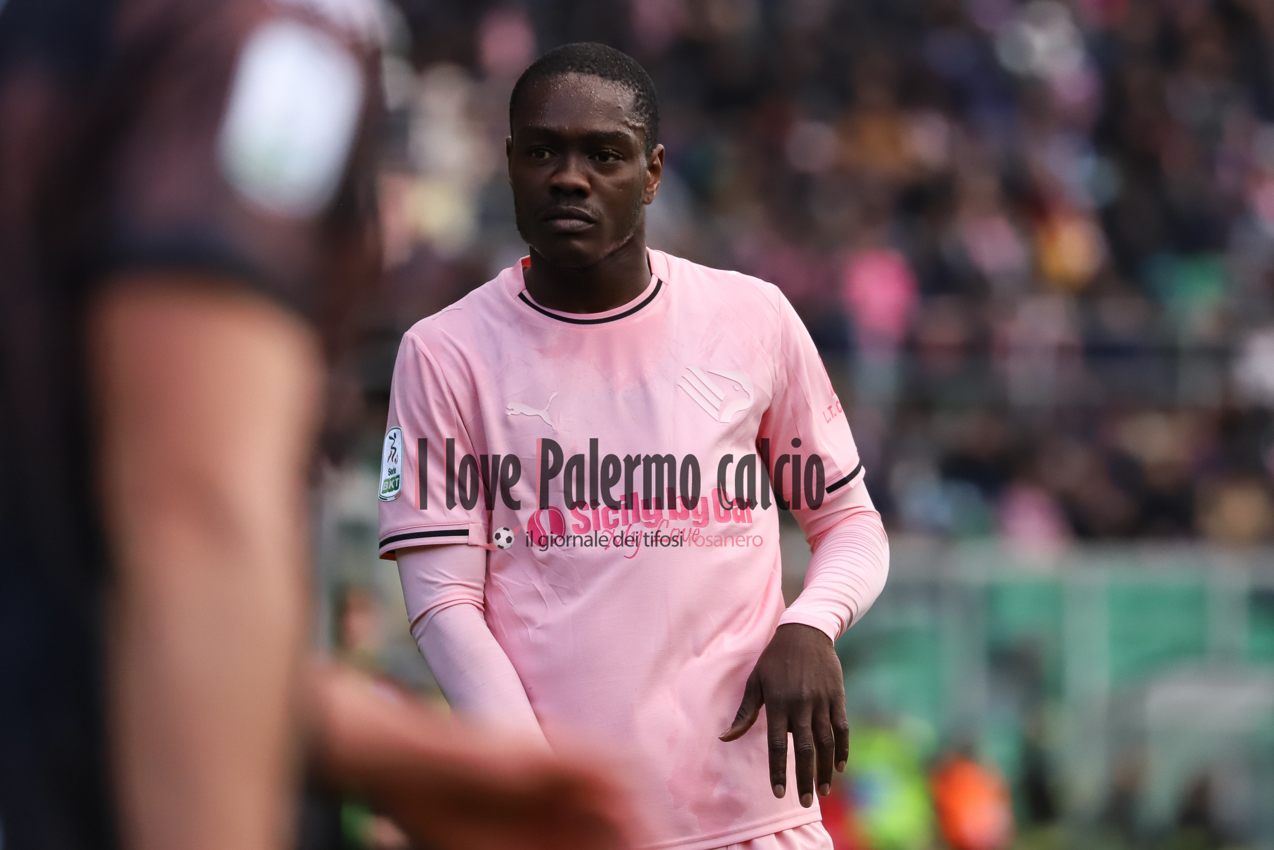 Gazzetta dello Sport: “Palermo-Catanzaro, the probable lineups:...