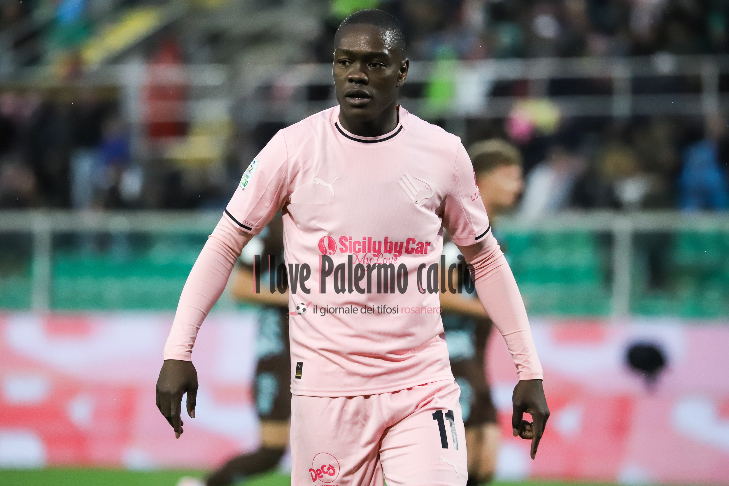 Palermo-Catanzaro LIVE: follow the live minute by minute broadcast...