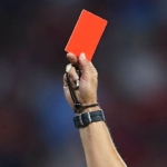 Serie B, Sports Judge: sting for Palermo, two days in Palumbo and one...