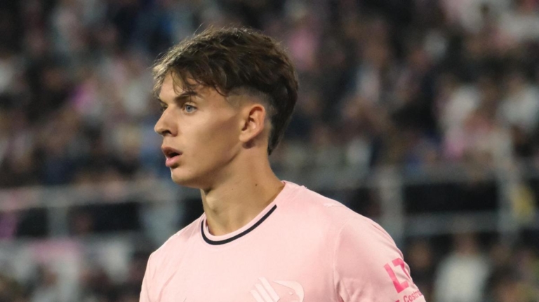 Palermo, Vasic close to farewell: Avellino on his trail