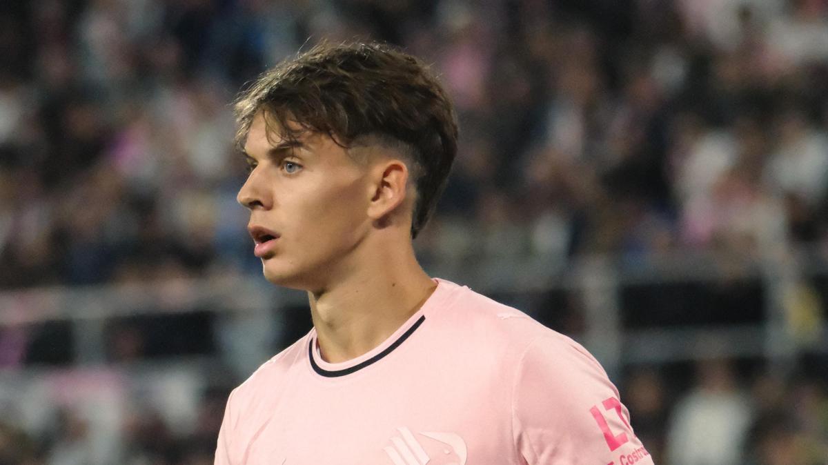 Palermo, Vasic close to farewell: Avellino on his trail