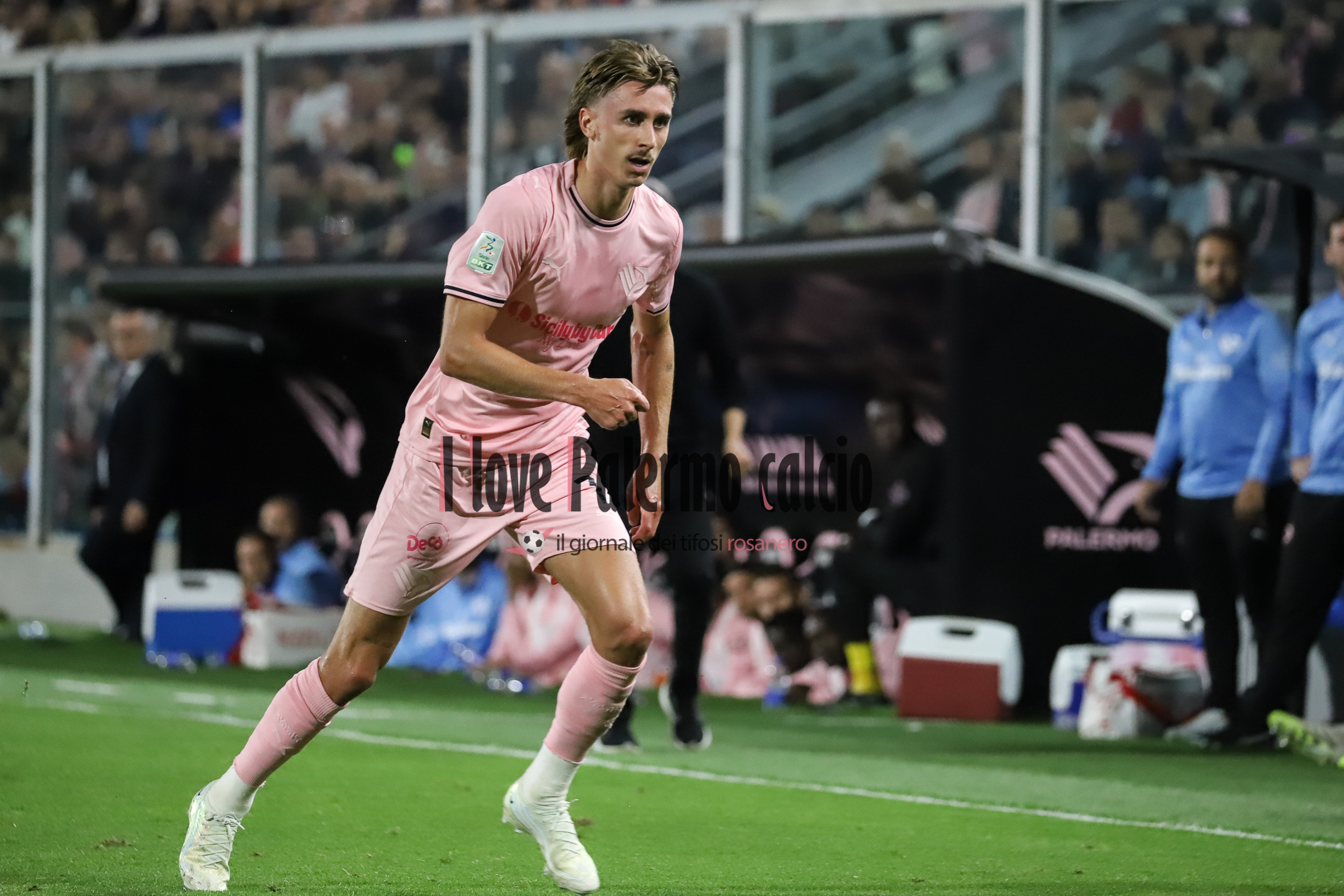 Giornale di Sicilia: "Palermo, Johnsen could be the first... shot"