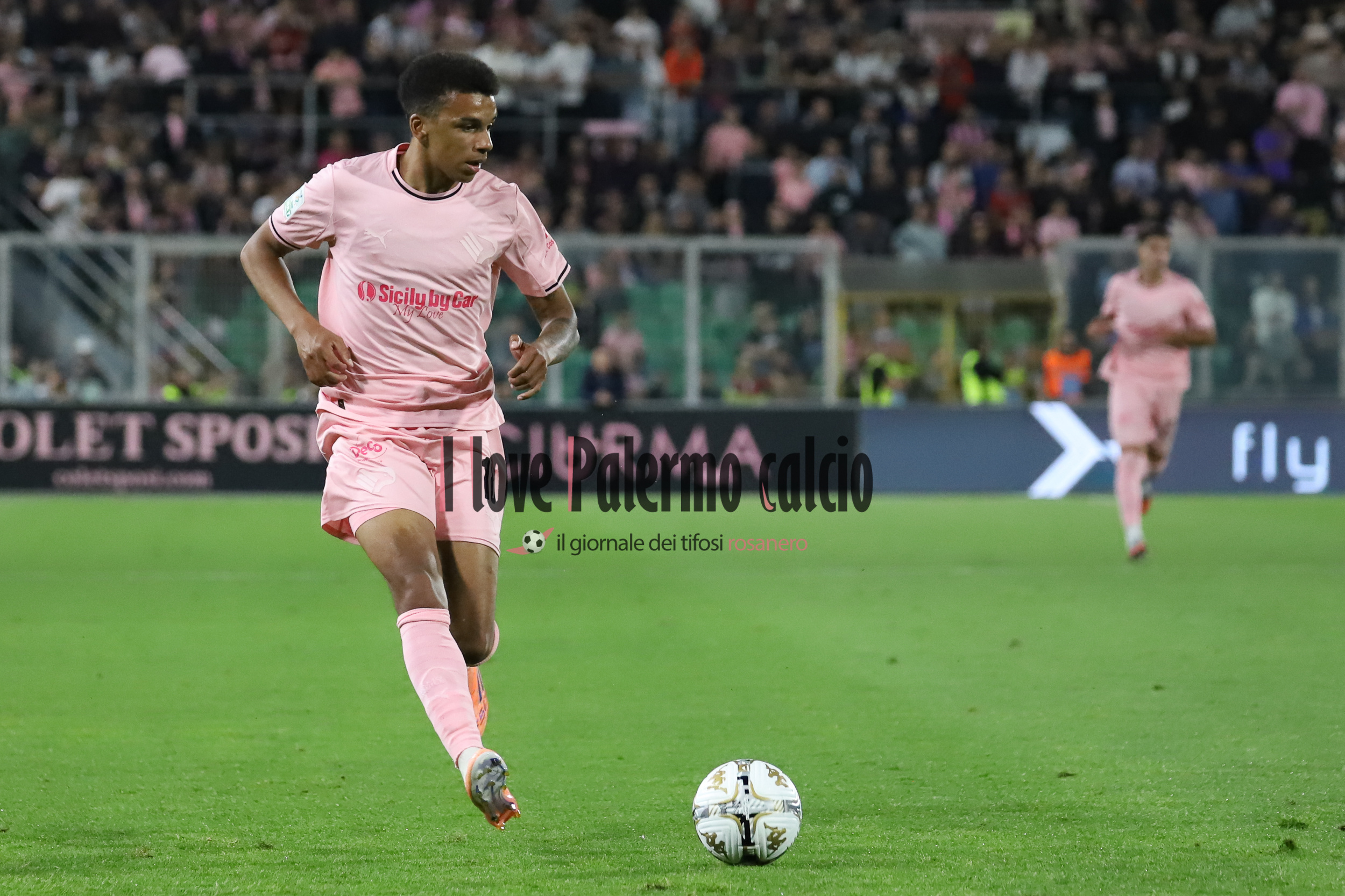 Alaimo: “Contacts underway for Rui Modesto's return to the rosanero”