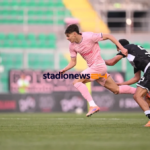 Palermo transfer market, Avellino thinks of Vasic: first dialogues...