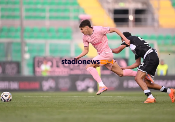 Palermo transfer market, Avellino thinks of Vasic: first dialogues...