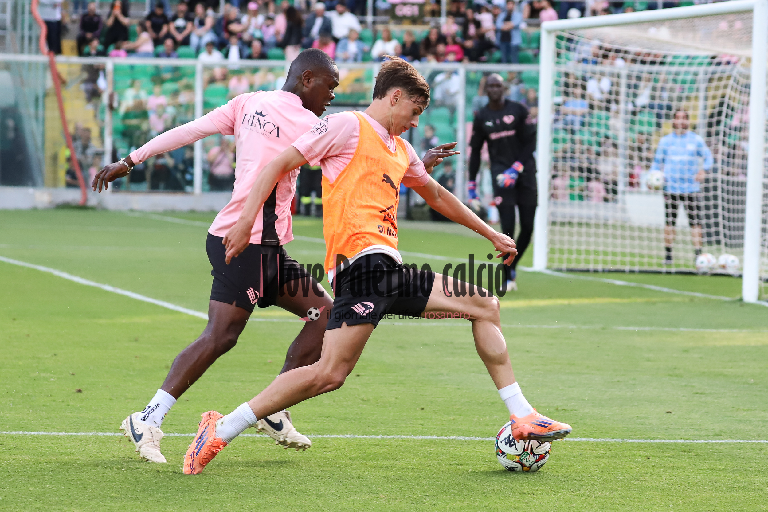 Giornale di Sicilia: "Palermo, we need adequate reinforcements: Osti...