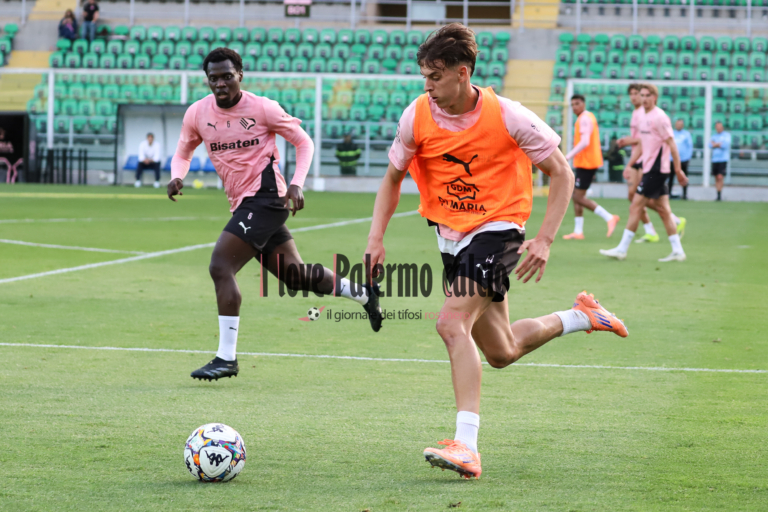 Il Mattino: "Avellino is knocking on Palermo. Vasic is liked, Gomes...
