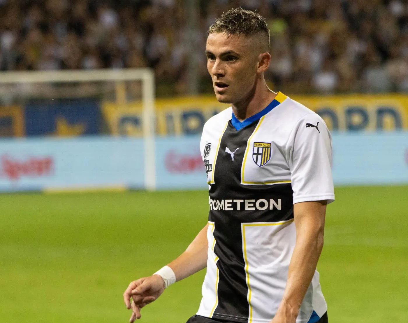Palermo transfer market, Schira: “Estevez one step away”