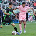 Palermo-Rui Modesto, the rosanero are aiming for a discount. The...