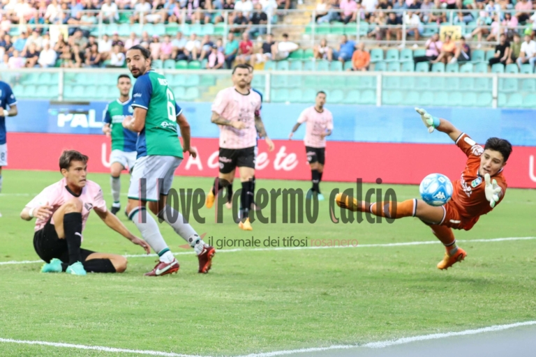 TMW: “Monza, Palermo are thinking of Pizzignacco”