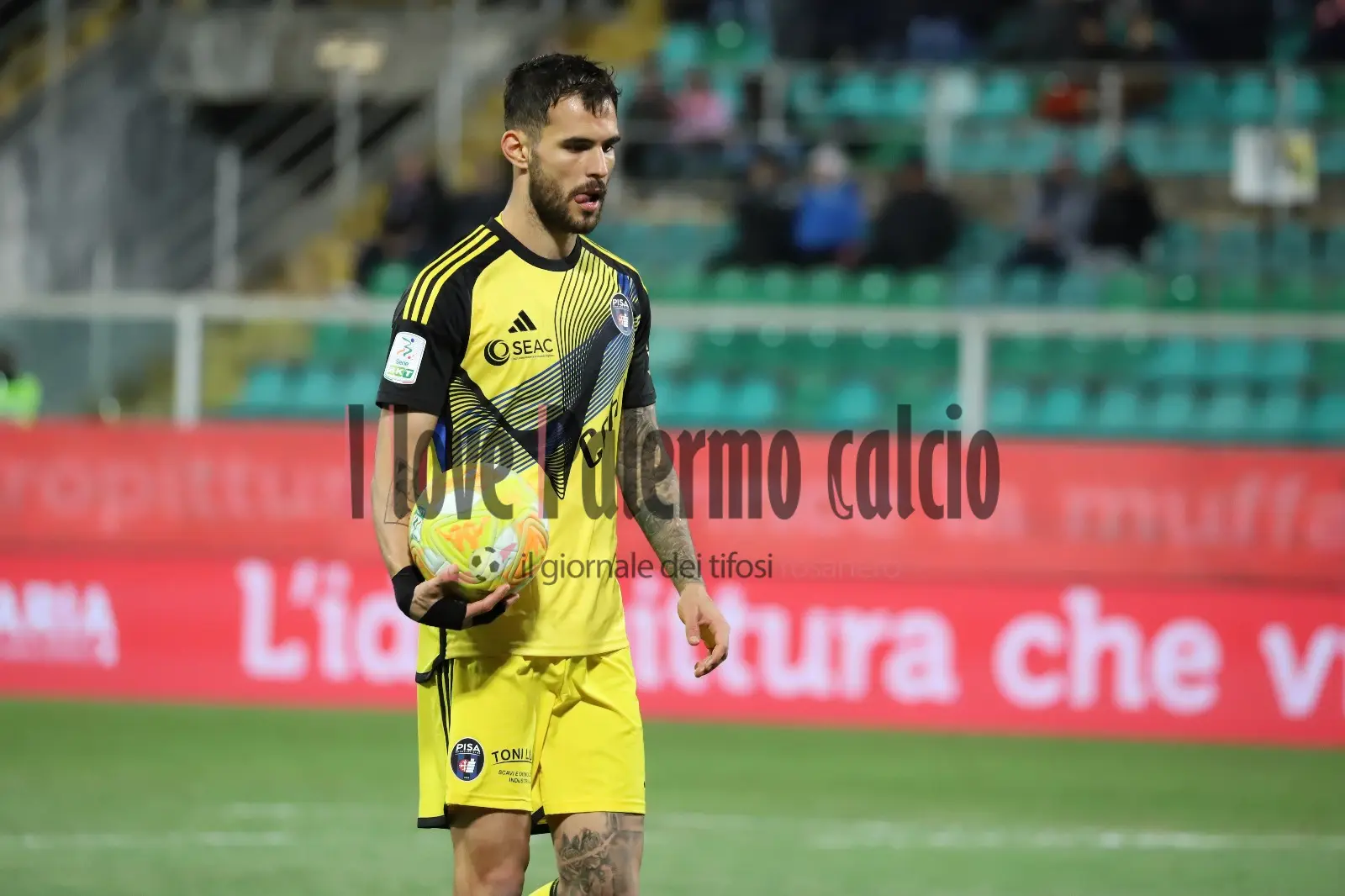 Giornale di Sicilia: "Palermo, in the median there is not only...