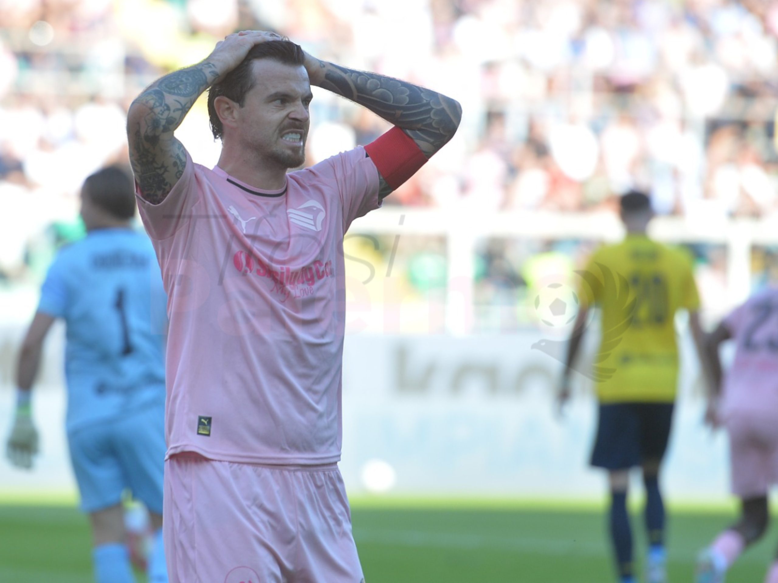 Palermo transfer market, Cesena tries for Brunori