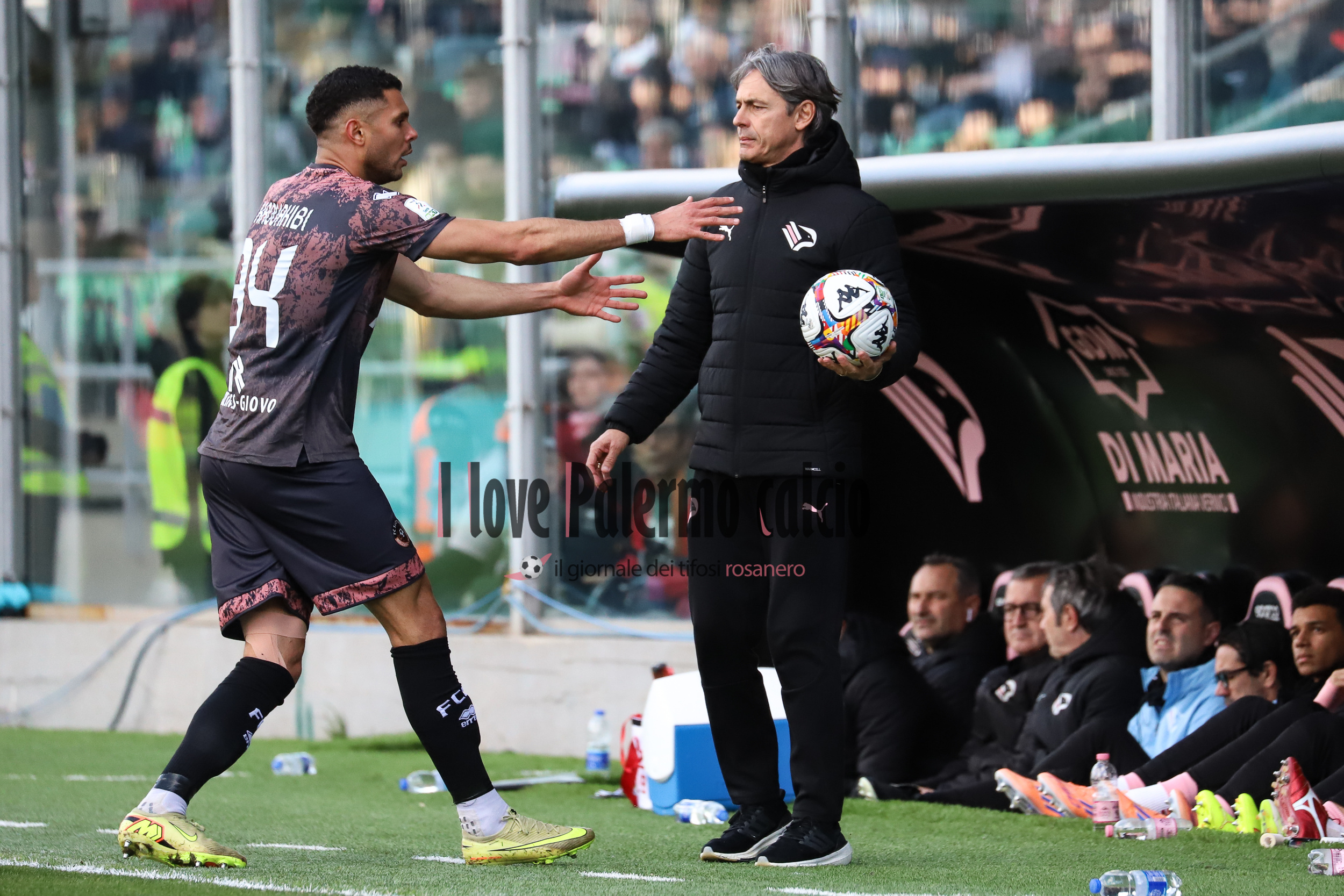 Giornale di Sicilia: "Palermo, the 4-2-3-1 enhances the full-backs....