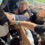 Brawl during Palermo - Catanzaro, eight Daspo: Polito's son also...