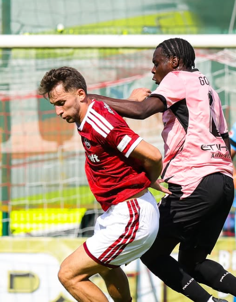 Tuttosport: "Palermo, determination ok. Good draw"