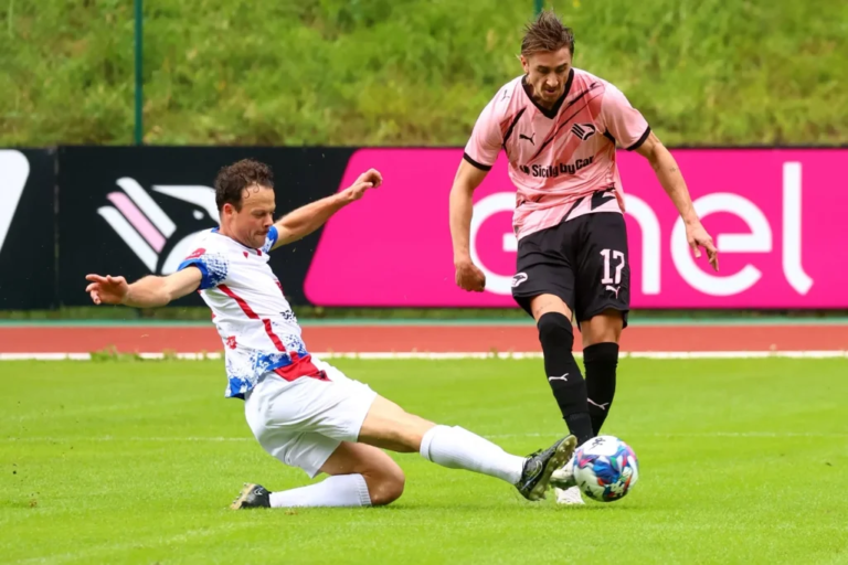 Palermo, the probable lineup for the test against Nuremberg