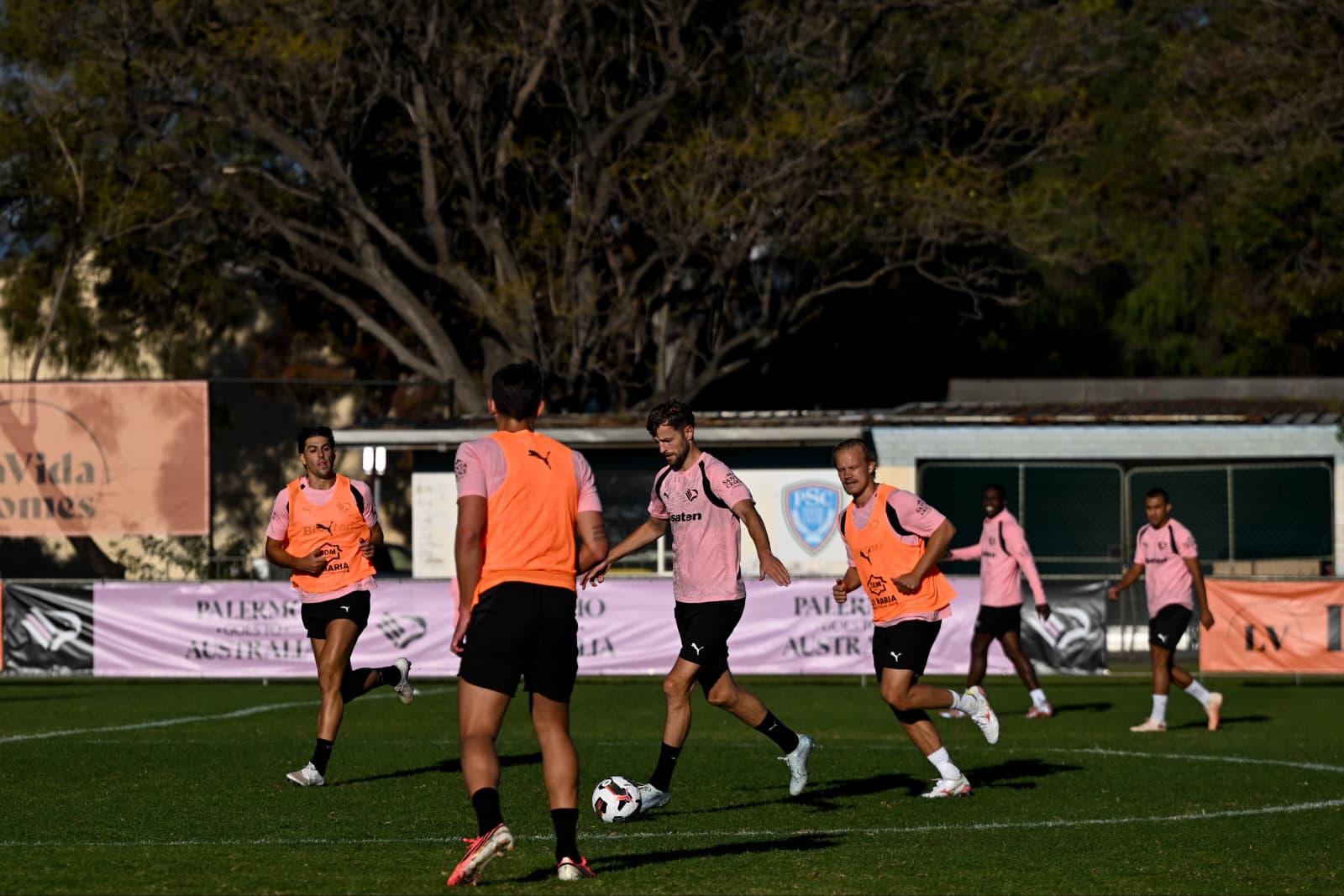 Palermo-Lecce, Arena referee: no precedent with the pinks